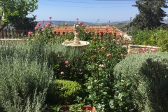 West rose garden looking South